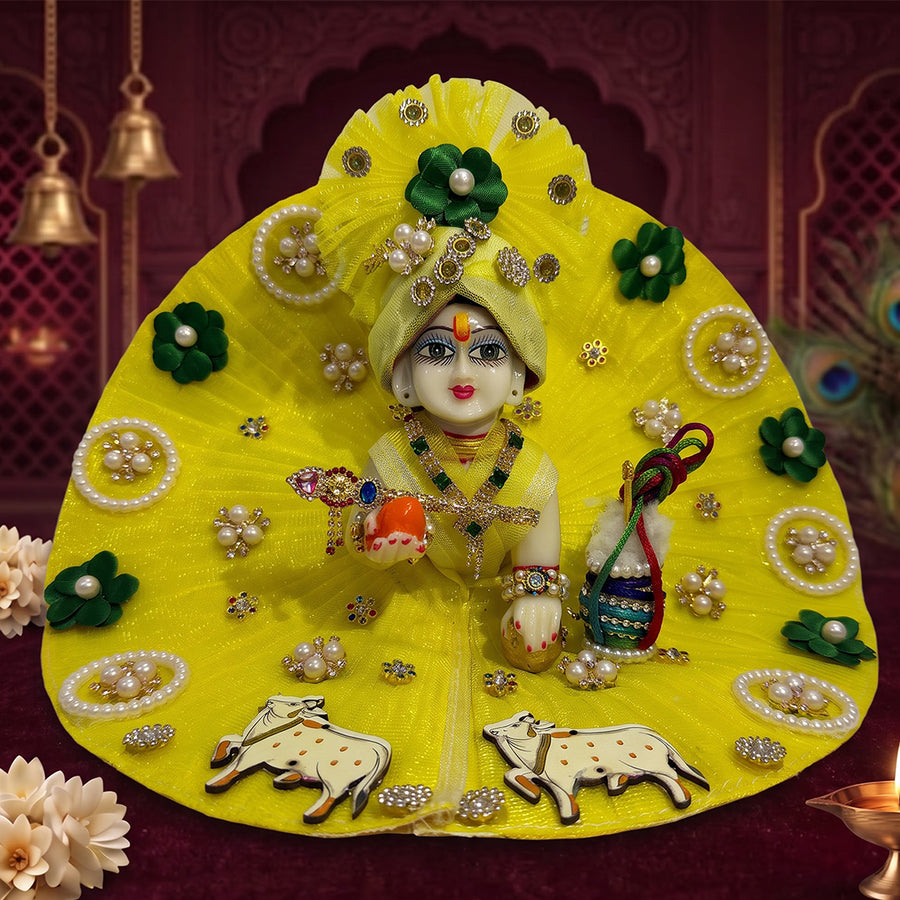 Kunj Bihari Laddu Gopal Dress